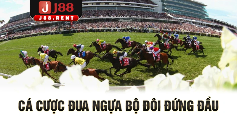 Cá cược đua ngựa bộ đôi đứng đầu