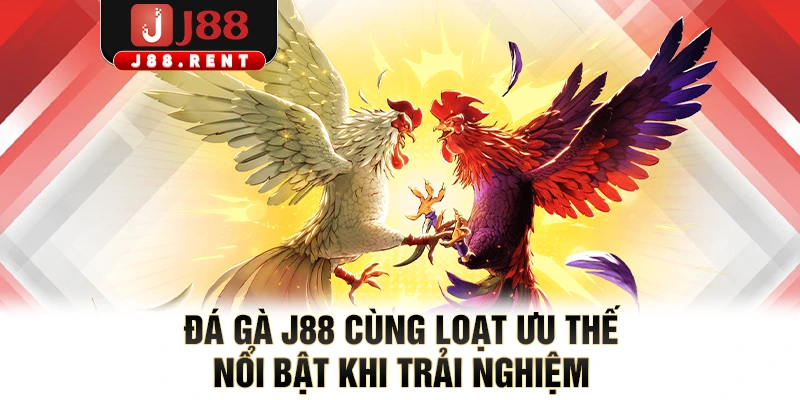 Đá gà J88 cùng loạt ưu thế nổi bật khi trải nghiệm 