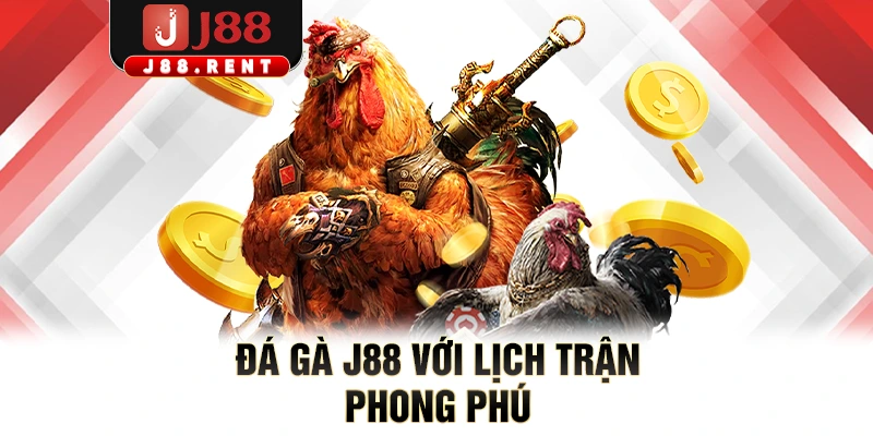 Đá gà J88 với lịch trận phong phú